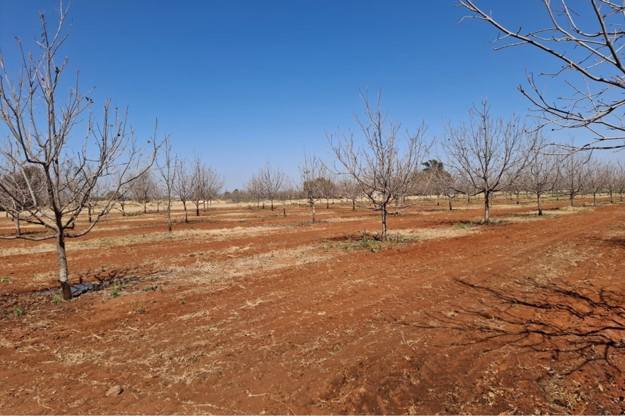0 Bedroom Property for Sale in Hartswater Northern Cape